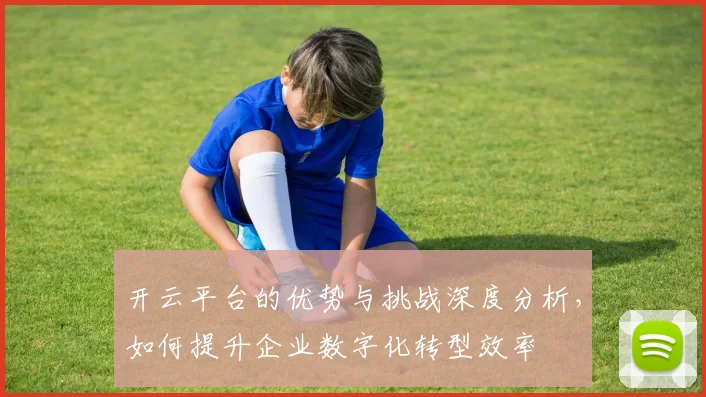 开云平台的优势与挑战深度分析，如何提升企业数字化转型效率