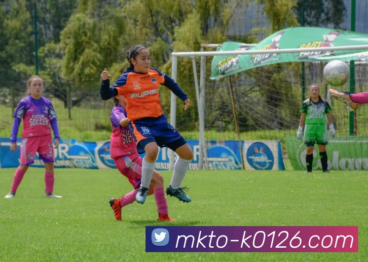 多媒体互动体验